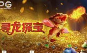 星空全站2024最新版