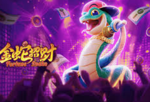 星空全站正式版