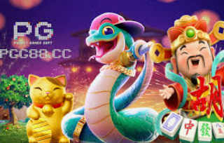 星空全站桌面版客户端